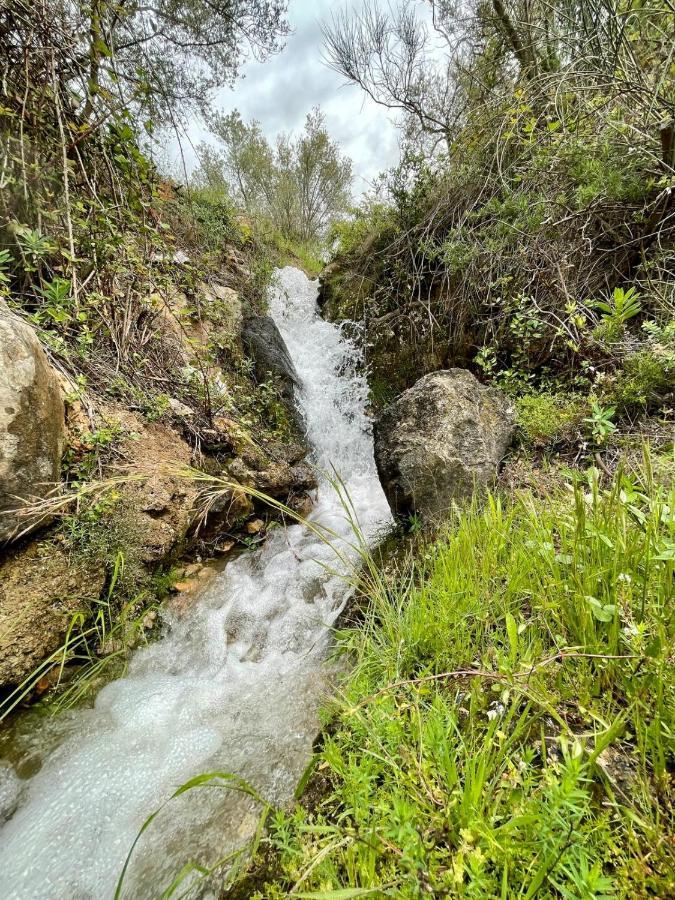 Pensjonat Cortijo Samadhi Lanjarón Zewnętrze zdjęcie