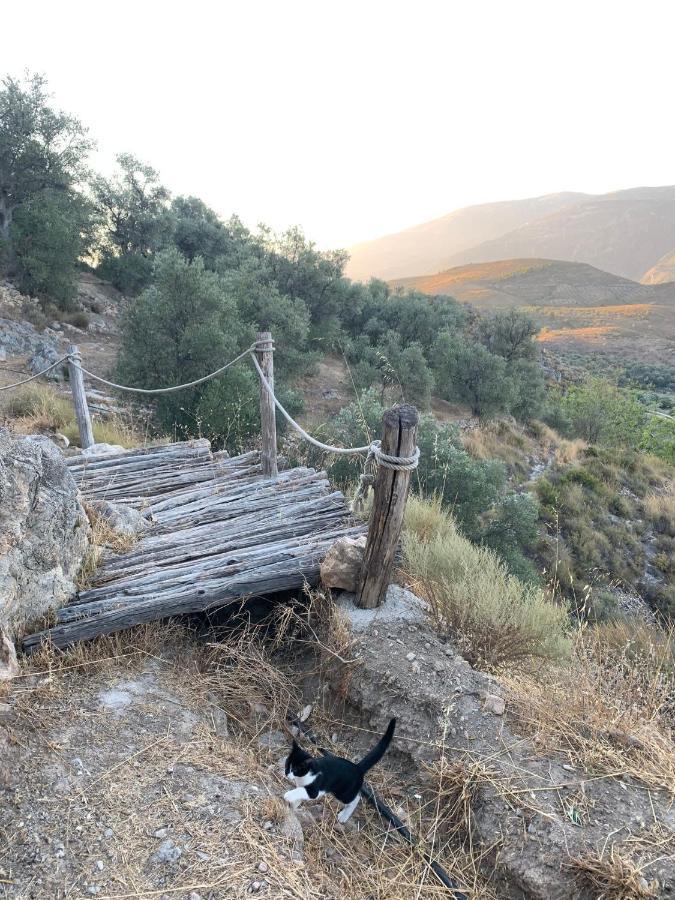 Pensjonat Cortijo Samadhi Lanjarón Zewnętrze zdjęcie